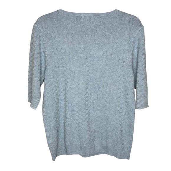 Ella Moss Light Blue Chunky Knit V-Neck Sweater Short Sleeve Winter Casual Large - Picture 2 of 6